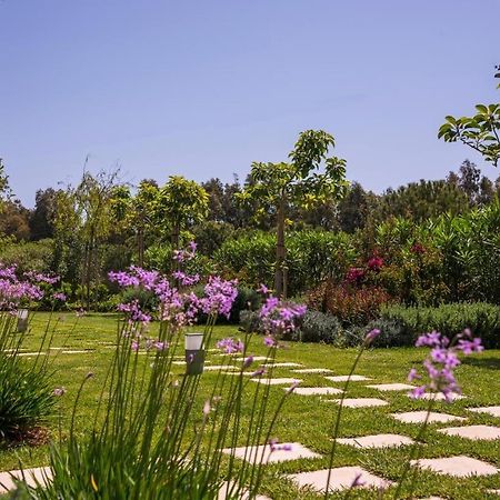 Mear Holiday Homes - Cretan Summer Getaways Kountoura Selino Dış mekan fotoğraf