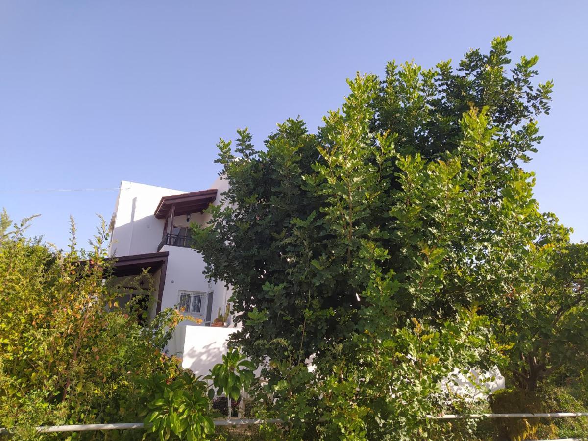 Mear Holiday Homes - Cretan Summer Getaways Kountoura Selino Dış mekan fotoğraf