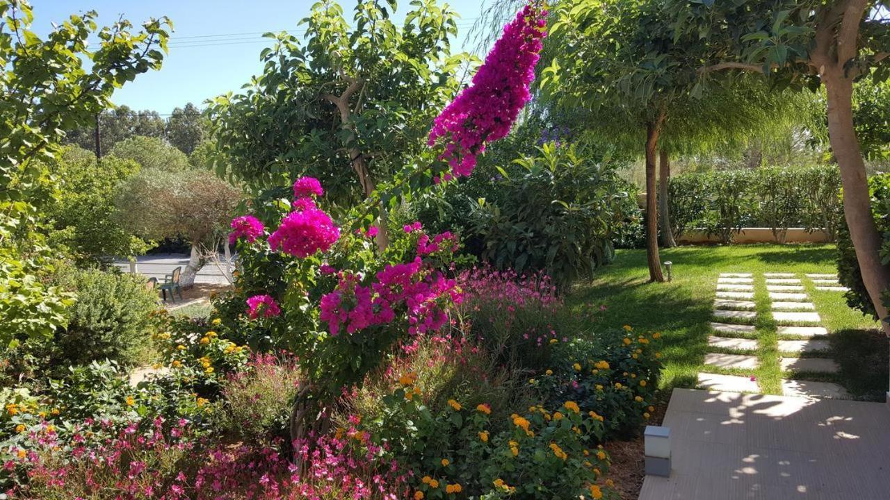 Mear Holiday Homes - Cretan Summer Getaways Kountoura Selino Dış mekan fotoğraf